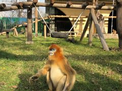 -西安秦岭野生动物园