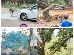 -广州长隆野生动物世界