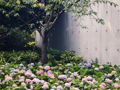 -静安雕塑公园