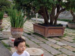 -观唐（国际）度假村温泉