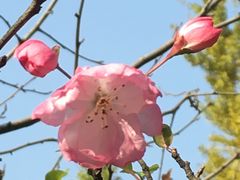 -杭州黄龙洞