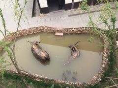 -燊海井