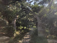 -贮水山儿童公园