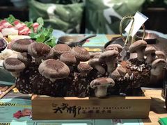 -大头椰·椰子鸡火锅(南宁万象城店)