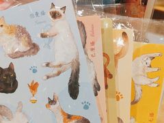 -猫的天空之城概念书店(印象城购物中心店)