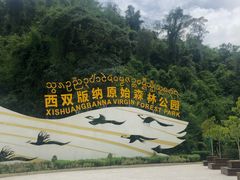 -西双版纳原始森林公园