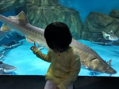-大明湖海底世界