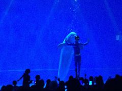 -芜湖新华联大白鲸海洋公园