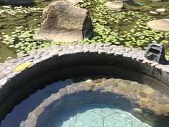 -明月山天沐温泉度假村