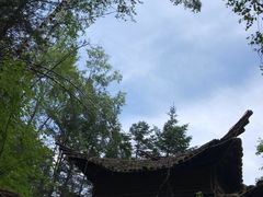 -峡谷浮石林景区