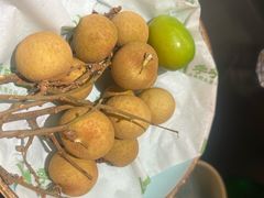 -季季山·云南野生菌火锅(上海首店)