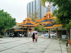-金砂公园