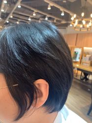 短发-曼都发型·臻选