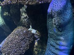 -海合安青岛极地海洋公园