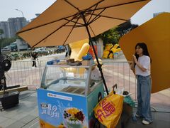 -维尔纳斯·生日蛋糕动物奶油冰淇淋蛋糕(人大店)