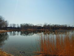 -永定河休闲森林公园