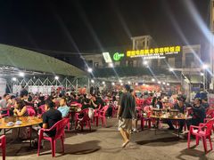 -霞姐屯昌枫木香草鸭店(海螺店)