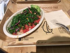 -油梨树AVOCADO TREE(嘉里中心店)