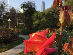 -人民公园(罗湖区)