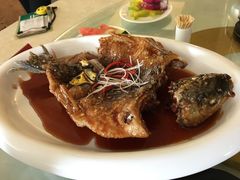 -椿记烧鹅(叠彩店)