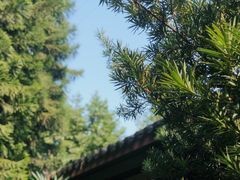 -龙头寺公园