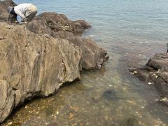 -大连蚂蚁岛度假区