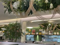 -Aqua Oasis 水天堂(太湖中心mall店)