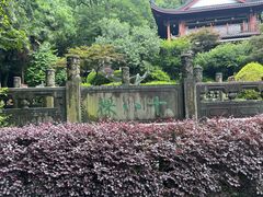 -十八棵（老龙井）御茶园(老龙井店)