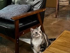 -咖法森林·咖啡  酒吧(天河店)