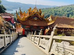 -东莞市大岭山森林公园