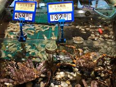水产区-老船夫婚宴婚庆会馆(延吉路店)