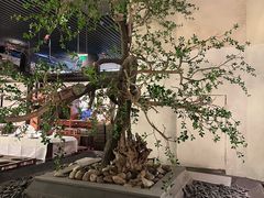 -桂满陇-锦绣江南(万象城店)