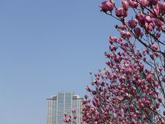 -人民广场