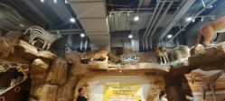 -鲁比猴非洲探索部落(喜盈门店)