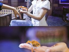 -南昌海洋公园