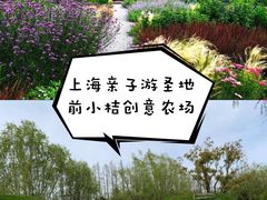 -前小桔亲子创意农场·草莓采摘·露营烧烤