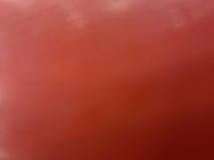 -食其家·牛丼咖喱(太阳宫店)