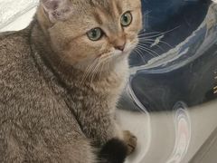 -平行世界·猫咖(首经贸店)