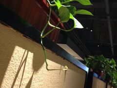 -绿茵阁(体育西分店)