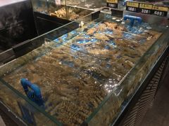 -闽海肴(北辰荟店)