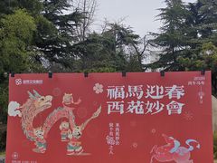 -西苑公园