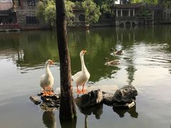 -东莞市可园博物馆