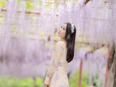 -嘉定紫藤园