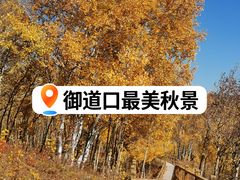 -御道口草原森林风景区