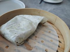 -光明港公园