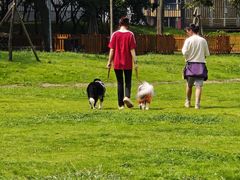 -国际非物质文化遗产博览园