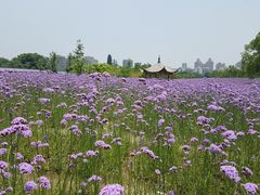 -杭州城北体育公园