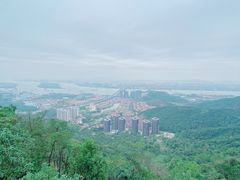 -大雁山风景区