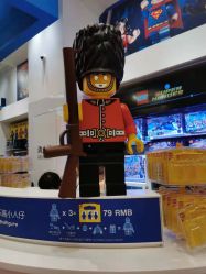 -乐高品牌旗舰店(人民广场店)