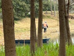 -贡湖湾湿地公园